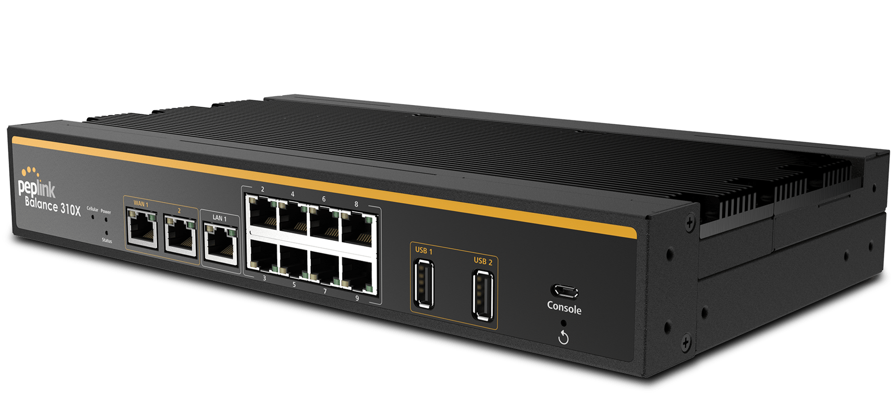 Peplink Balance 310X